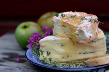 French cheese close up photo. Brie and camembert cheese with honey. Tasty appetizer on a plate. Food still life photo.  