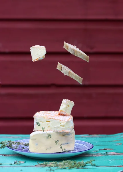 Still life with French cheese. Soft cheese close up photo. French appetizer on a plate.