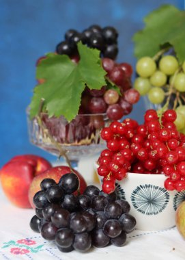 Still life with grapes. Fresh organic fruit on a table. Vitamins and antioxidants concept. Healthy eating. 