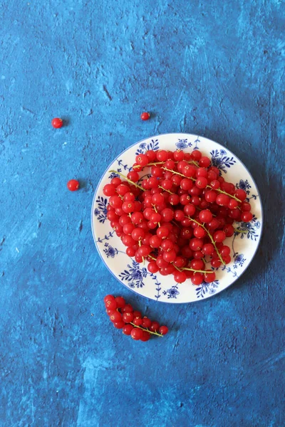 Red Currant Blue Ceramic Plate Blue Texture Background Copy Space — Photo