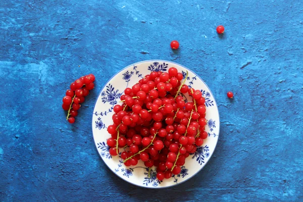 Red Currant Blue Ceramic Plate Blue Texture Background Copy Space — Photo