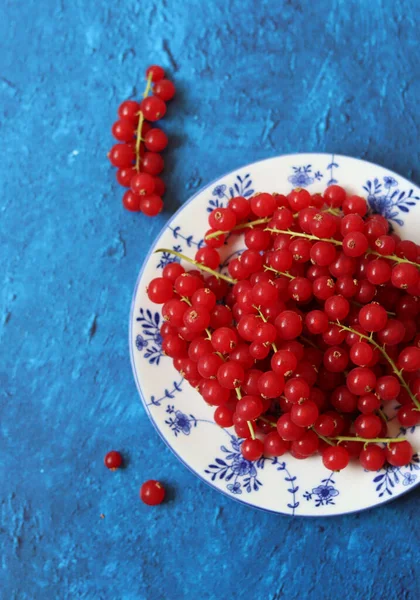 Red Currant Blue Ceramic Plate Blue Texture Background Copy Space — Stock Photo, Image