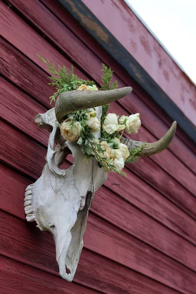 Cow scull close up photo. Halloween outdoor decorations. Wreath of white roses on an animal scull.