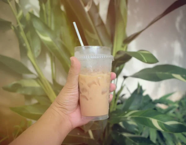 Coffee Cup Hand Clear Plastic Glass Iced Coffee Tree Background — Fotografia de Stock