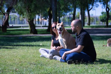 Orta yaşlı İspanyol bir çift çimlerin üzerinde beyaz göğüslü, büyük, bronz, melez köpekleri ile oturuyor. Aile kavramı, hayvan sevgisi, evcil hayvanlar, melez köpekler..
