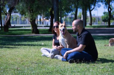 Orta yaşlı İspanyol bir çift çimlerin üzerinde beyaz göğüslü, büyük, bronz, melez köpekleri ile oturuyor. Aile kavramı, hayvan sevgisi, evcil hayvanlar, melez köpekler..