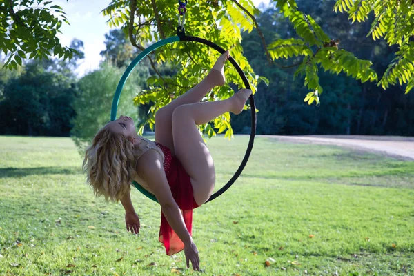 公園の真ん中の木から吊るされた空中輪の上で運動する赤いパーティードレスの若いブロンドの女性 コンセプト空中フープ ポールダンス フィットネス 曲線的な女の子 — ストック写真