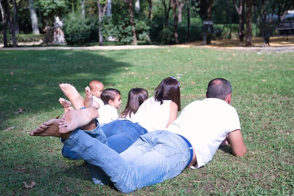 Amplia Familia Cinco Personas Tumbada Césped Parque Vista Desde Atrás — Foto de Stock