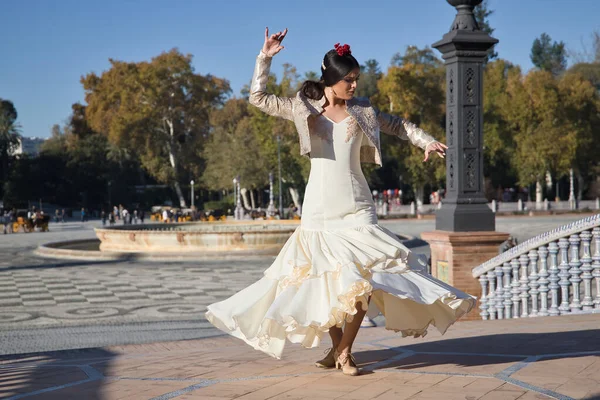 Genç flamenko kadın, İspanyol ve esmer, tipik flamenko dans takımı, boğa güreşi ceketi, dans dönüşü. Flamenko kavramı, dansçı, tipik İspanyol dansı..