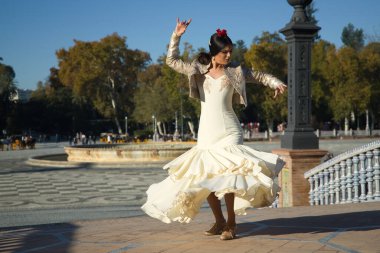Genç flamenko kadın, İspanyol ve esmer, tipik flamenko dans takımı, boğa güreşi ceketi, dans dönüşü. Flamenko kavramı, dansçı, tipik İspanyol dansı..
