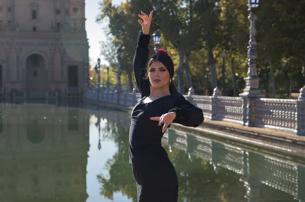 스페인 사람이며 갈색의 플라멩코 여인인 플라멩코는 전형적 플라멩코 춤추는 꼬리를 — 스톡 사진