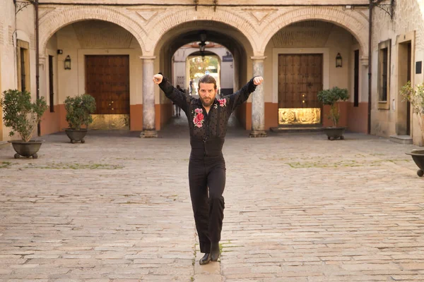 Sakallı, at kuyruklu, siyah şeffaf gömlekli, siyah puantiyeli, kırmızı güllü, siyah pantolonlu ve ceketli, şehirde flamenko dansı yapan genç bir adam. Sanat, dans, kültür, gelenek.