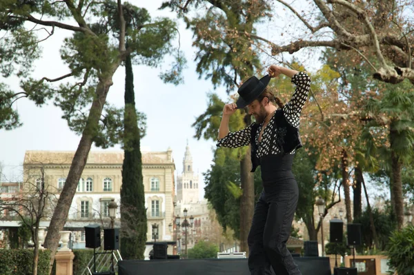 Sakallı, at kuyruklu, siyah tişörtlü, beyaz benekli, siyah pantolonlu ve ceketli, sahnede şapkalı flamenko dansı yapan genç bir adam. Sanat, dans, kültür, gelenek.