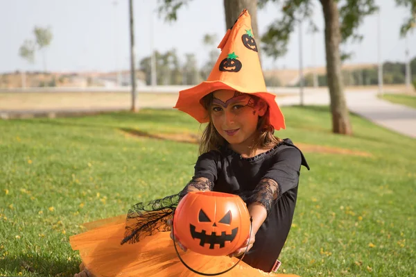 Girl in black shirt, witch hat and orange skirt offering pumpkin to receive candy and sitting on grass celebrating halloween. Autumn concept, trick or treat, party, pumpkin.