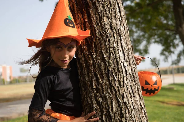 Girl Black Shirt Orange Witch Hat Pumpkin Hand Clinging Tree — 스톡 사진