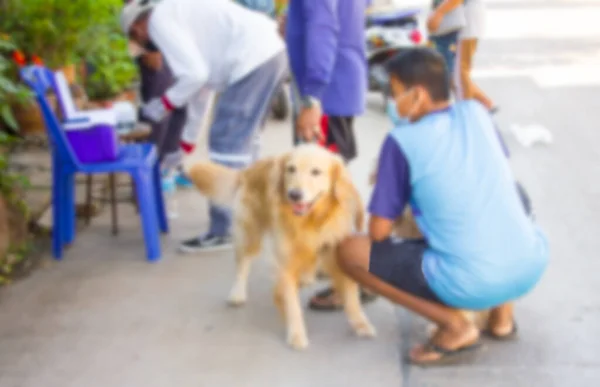 Blur Background Dog Getting Injection Vaccine Image Veterinarian Giving Vaccine — Stock Photo, Image