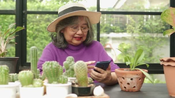 Asiatiska Äldre Kvinnor Bor Hemma Hon Har Smartphone För Att — Stockvideo