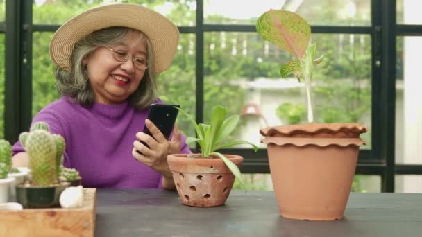 Mulheres Idosas Asiáticas Vivem Casa Ela Tem Smartphone Para Tirar — Vídeo de Stock