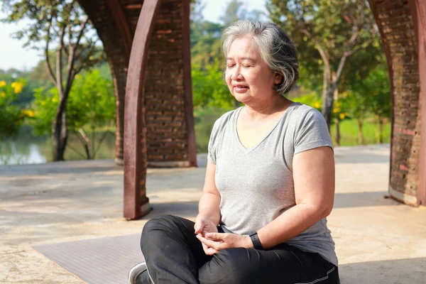 Asyalı yaşlı kadın sabah parkta egzersiz yapıyor meditasyon yogası yapıyor. O sakin, gülümseyen, mutlu hissetti. Yaşlıların sağlıklı olması için sağlık hizmeti kavramı