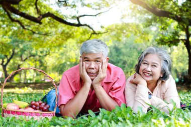 Yaşlı Asyalı çift parkta piknik yapıyor çimlerin üzerinde uzanmış, yanında bir sepet meyveyle. Onlar tatillerinin tadını çıkarıyorlar. Emeklilikte yaşamak, sağlıklı yemekler yemek..