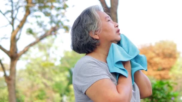 Las Mujeres Mayores Hacen Ejercicio Parque Por Mañana Sostén Pañuelo — Vídeo de stock