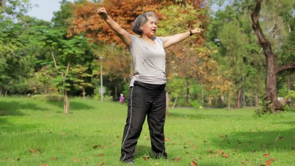 Asiatisk Äldre Kvinna Stå Och Träna Parken Utomhus Motion Koncept — Stockvideo