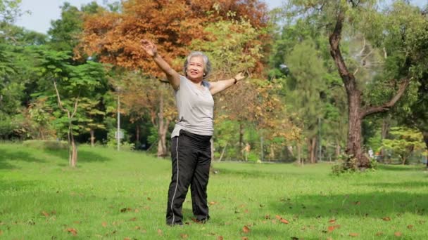 Asyalı Yaşlı Kadın Parkta Durup Egzersiz Yapıyor Açık Hava Spor — Stok video