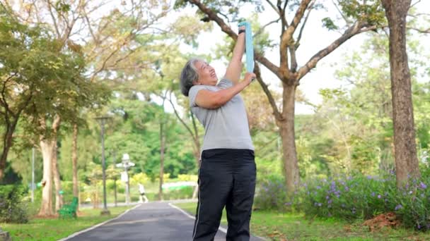 Asiatische Seniorin Steht Und Turnt Park Outdoor Bewegungskonzept Altenpflege — Stockvideo