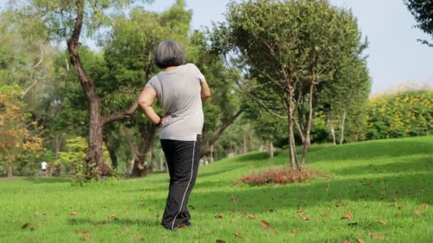 Femme Âgée Asiatique Lever Faire Exercice Dans Parc Concept Exercice — Video