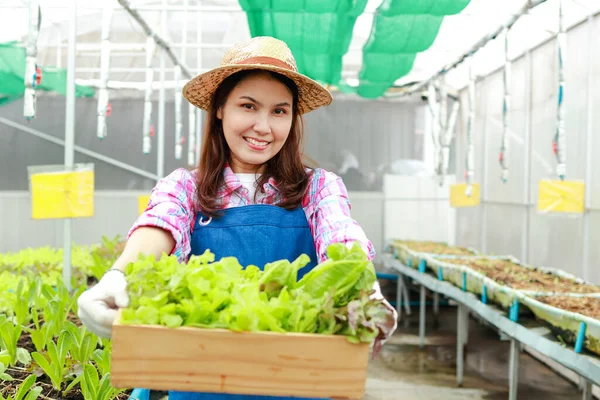 Hermosa Mujer Asiática Sonriente Haciendo Agricultura Orgánica Cultivando Verduras Orgánicas —  Fotos de Stock