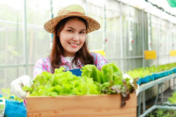 Hermosa Mujer Asiática Sonriente Haciendo Agricultura Orgánica Cultivando Verduras Orgánicas —  Fotos de Stock