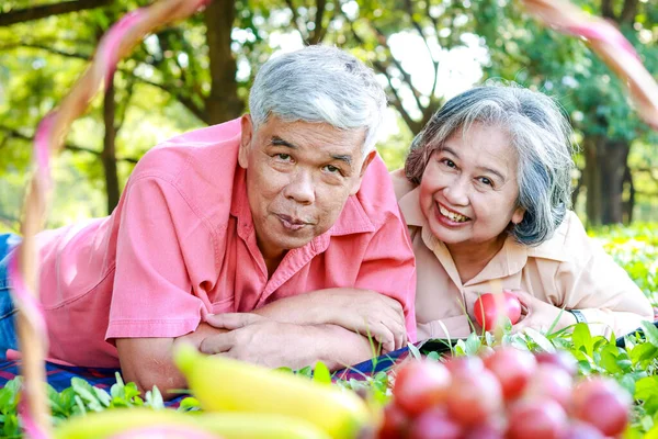 Asiática Pareja Ancianos Picnic Parque Acostado Hierba Con Una Cesta — Foto de Stock