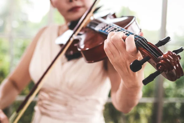 Klasik Müzik Öğrenme Kavramı Klasik Keman Enstrümanları Çalan Bir Kadının — Stok fotoğraf