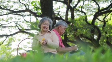Yaşlı Asyalı çiftler parkta piknik yaparlardı çimlerin üzerinde otururlardı ve yanlarında meyve ve ekmek sepetleri olurdu. Onlar tatillerinin tadını çıkarıyorlar. Mutlu olmak için emeklilikte yaşamak..