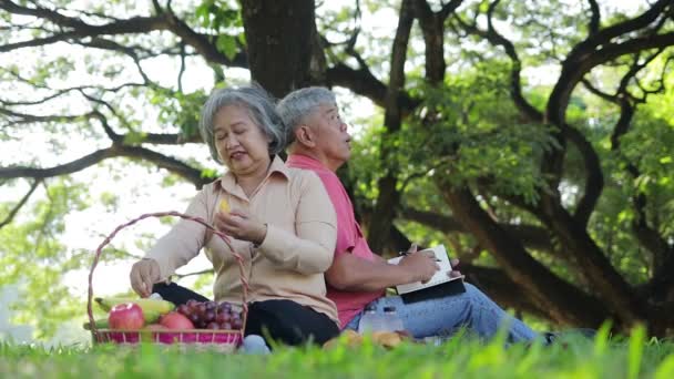 園内にはアジア系のお年寄り夫婦がピクニックをしていて 隣には果物やパンのバスケットが置いてあった 休暇を楽しんでいる 幸せになるために引退生活の概念 — ストック動画
