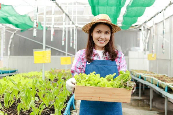 Las Mujeres Asiáticas Hacen Agricultura Orgánica Ella Cultiva Verduras Invernadero —  Fotos de Stock