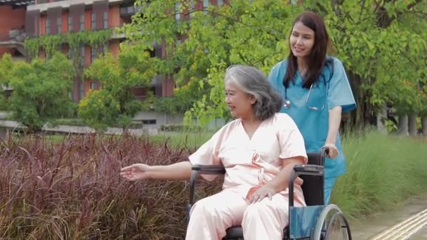 病院における医療サービスの概念 患者のケア 外科用ガウンを着た女性医師車椅子に座る高齢者の治療とケア — ストック動画