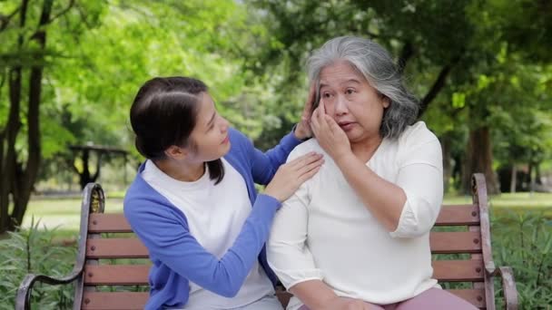 Professional Caretaker Assists Senior Sitting Park Bench Medical Services Nursing — Vídeos de Stock