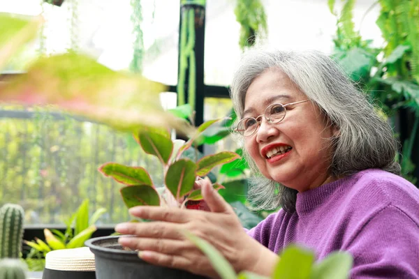 Asiática Anciana Casa Ella Sonríe Felizmente Para Poder Plantar Árboles — Foto de Stock