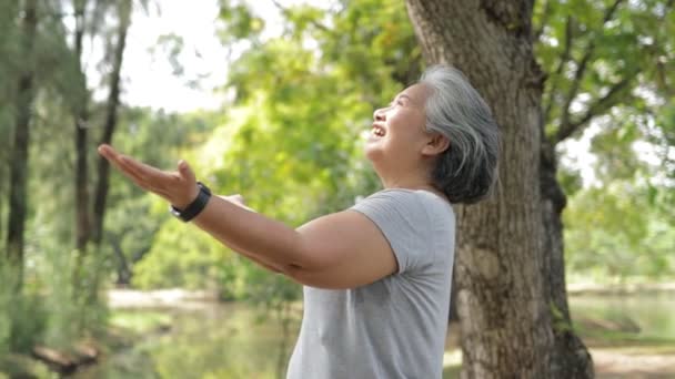 老妇人在公园里锻炼快乐的微笑 老年人保健的概念 — 图库视频影像