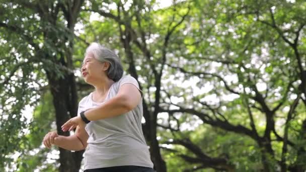 公園で運動する高齢者の女性幸せな笑顔 高齢者の健康管理の概念は — ストック動画