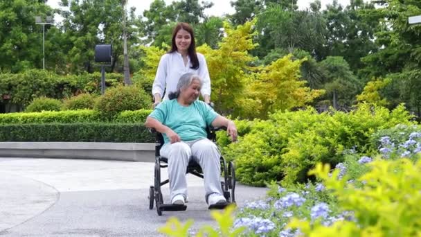 車椅子に座っているお母さんの世話をする娘公園で散歩して新鮮な空気を吸ってください 介護者や看護師は高齢者の世話をする 高齢者保健センター構想 — ストック動画
