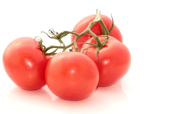 Tomato — Stock Photo, Image