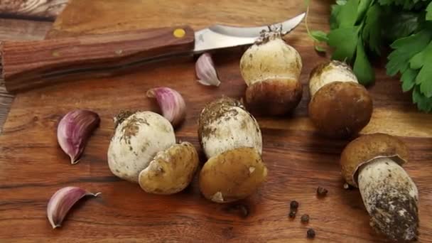 Cogumelos Bordeaux Porcini Uma Tábua Corte — Vídeo de Stock