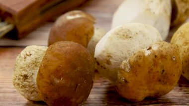Kesme tahtasında Bordeaux Porcini mantarı