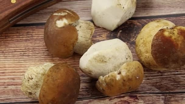 Champignons Porcini Bordelais Sur Une Planche Découper — Video