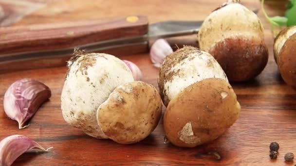 Bordeaux Porcini Champignons Een Snijplank — Stockvideo