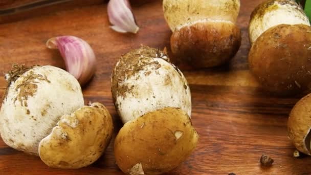 Ciuperci Bordeaux Porcini Placă Tăiere — Videoclip de stoc