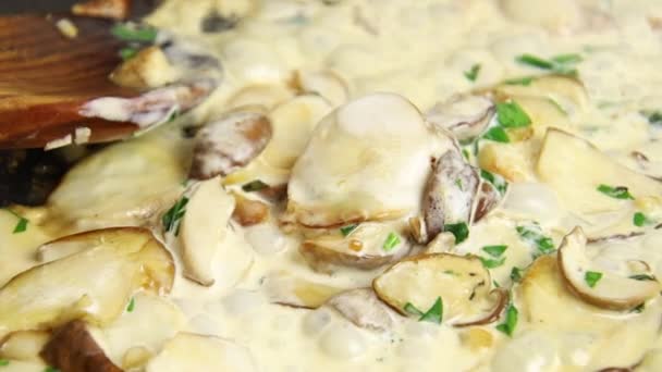 Cogumelos Bordeaux Porcini Alho Salsa Creme Cozinha Uma Panela — Vídeo de Stock