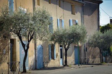 Provence 'de zeytin ağaçlı köy evleri